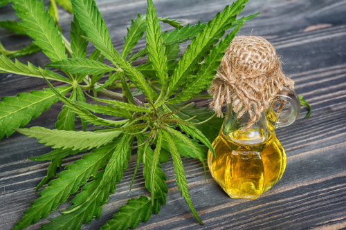 cbd oil toronto